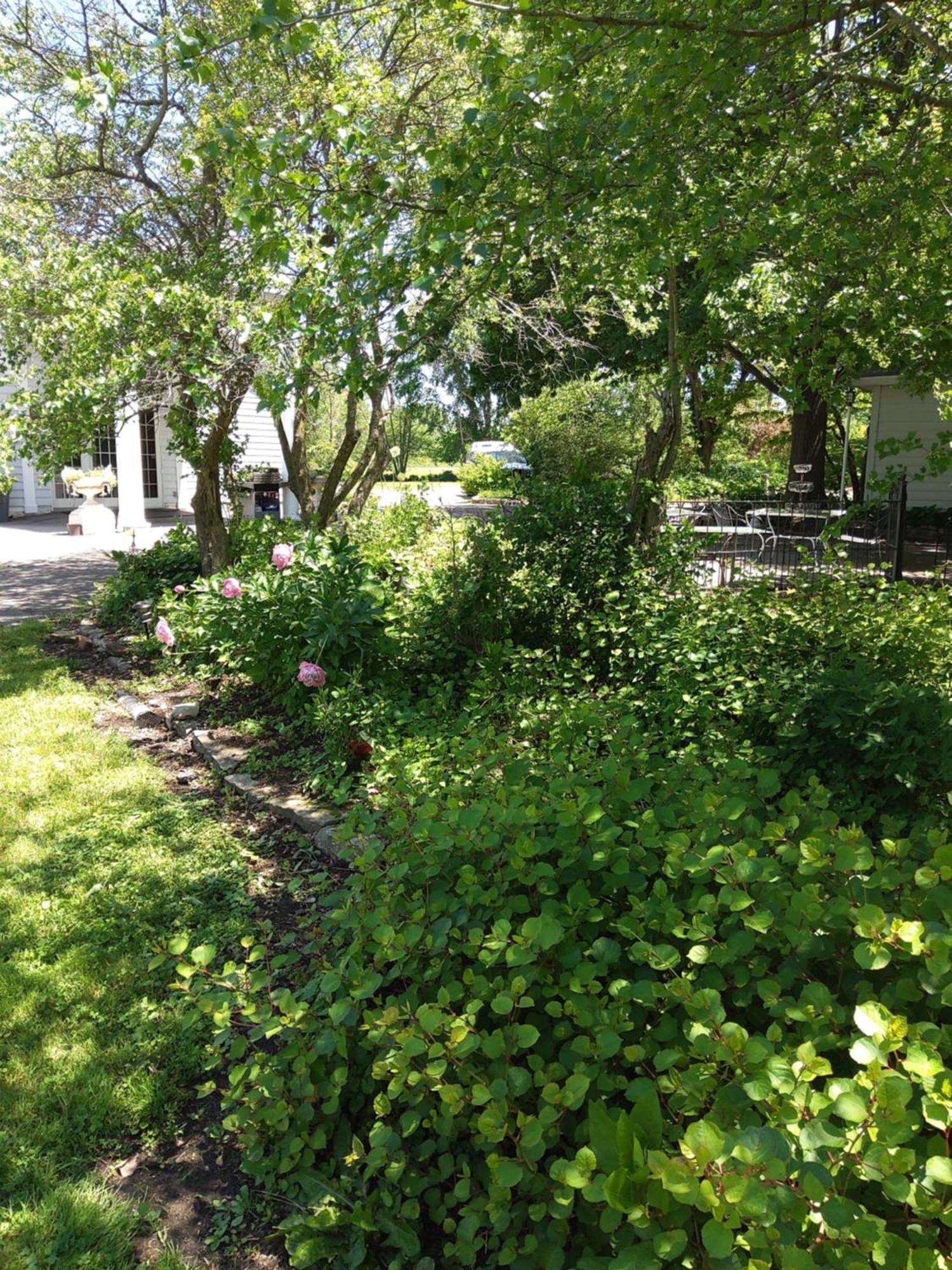 Inntiquity, A Country Inn Logansport Bagian luar foto